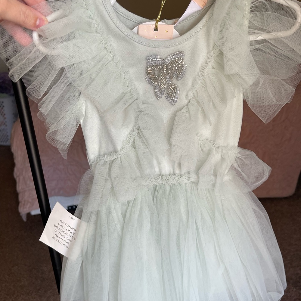 Elegant Light Green Tulle Dress with Embellishment